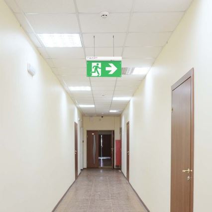 Iluminação de emergência LED EMERGENCY EXIT LED/2,5W/230V 4em1 6000K