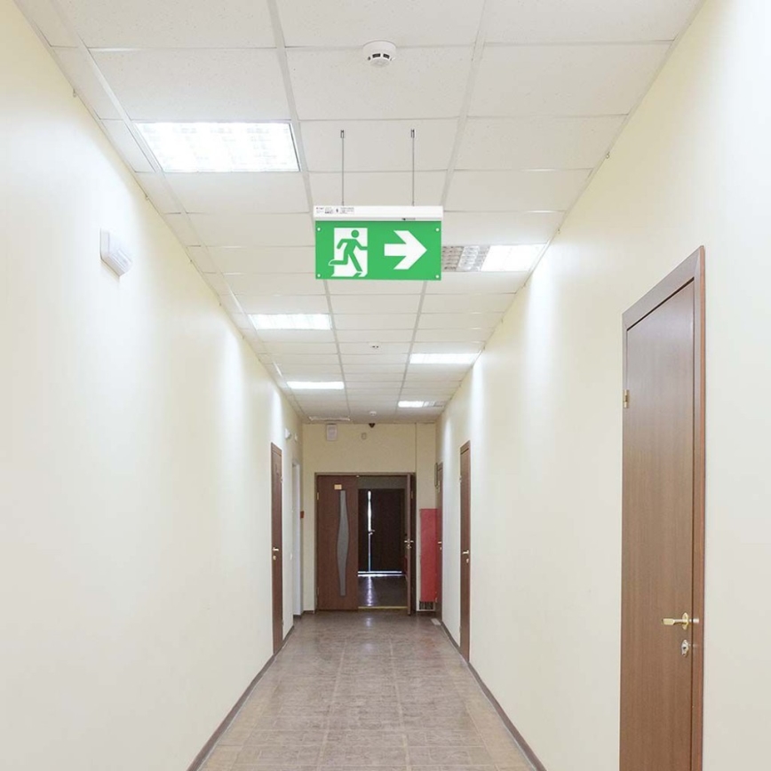 Iluminação de emergência LED EMERGENCY EXIT LED/2,5W/230V 4em1 6000K