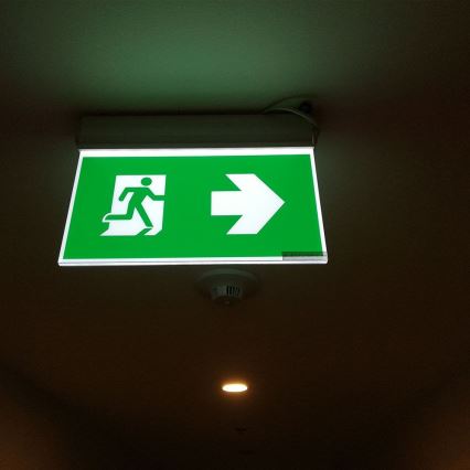 Iluminação de emergência LED EMERGENCY EXIT SAMSUNG CHIP LED/2W/230V 6000K