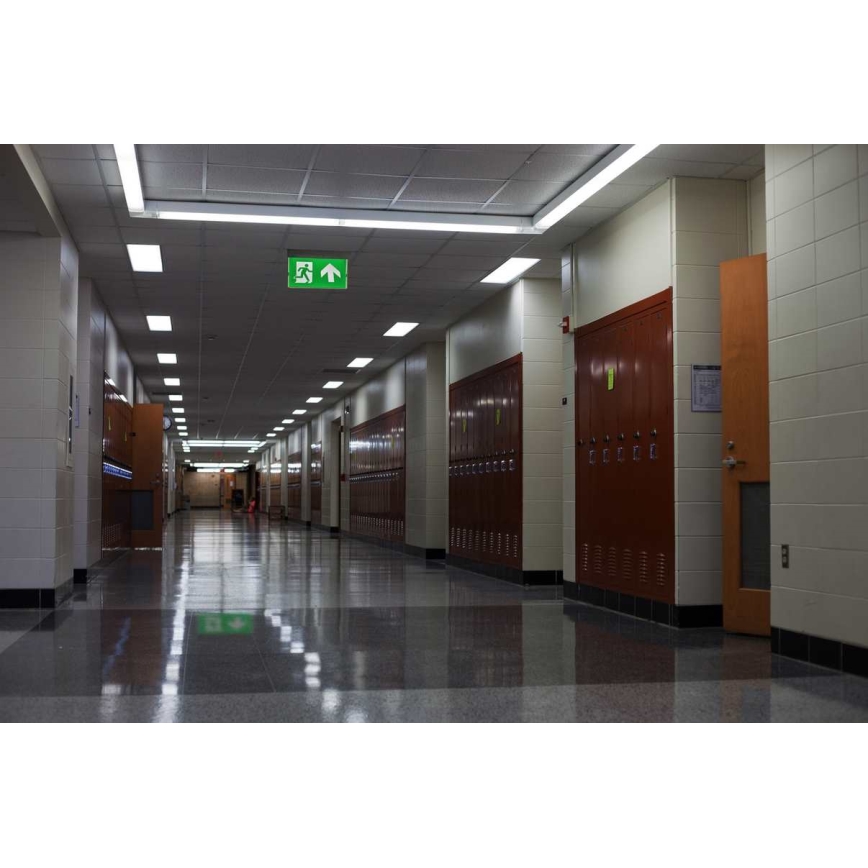 Iluminação de emergência LED LED/4,5W/230V 6500K