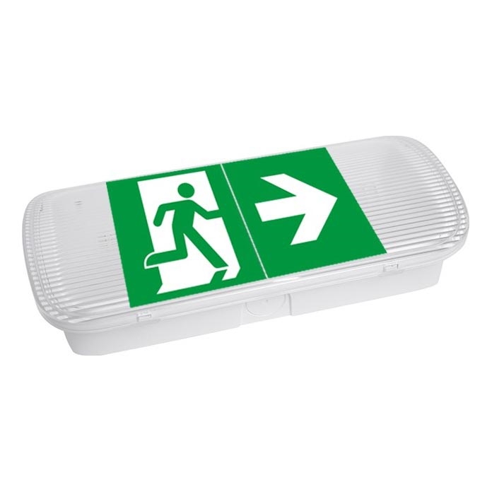 Iluminação de emergência LED VIRGO EVO LED/1W/230V 6000K IP65