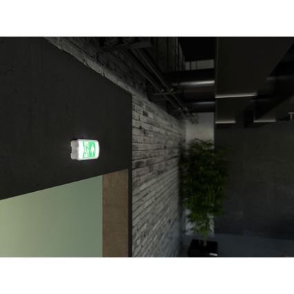 Iluminação de emergência LED VIRGO EVO LED/1W/230V 6000K IP65