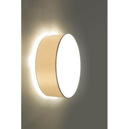 Iluminação de parede ARENA 1xE27/60W/230V branca