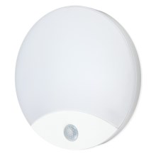 Iluminação de parede de casa de banho LED com sensor ORBIS LED/10W/230V IP44