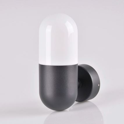 Iluminação de parede exterior HORTEN 1xE27/10W/230V IP44