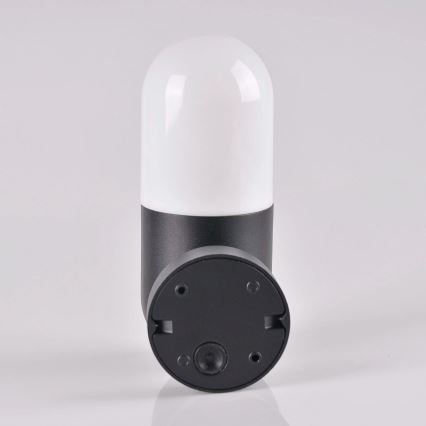 Iluminação de parede exterior HORTEN 1xE27/10W/230V IP44