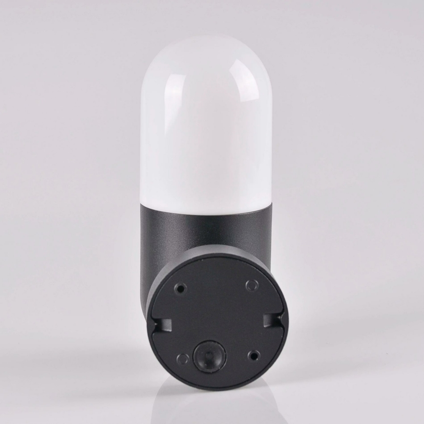 Iluminação de parede exterior HORTEN 1xE27/10W/230V IP44