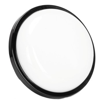 Iluminação de parede exterior LED LED/15W/230V 6500K diâmetro 15,5 cm preto IP65