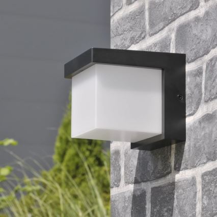 Iluminação de parede exterior LED MORGAN LED/10W/230V IP54