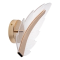 Iluminação de parede LED LED/12W/230V 3000-6500K dourado
