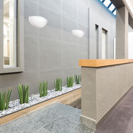 Iluminação de parede NATURAL SLIM 1xE27/60W/230V pinho/branco