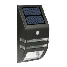 Iluminação de parede solar LED com sensor LED/3,7V IP44 preta