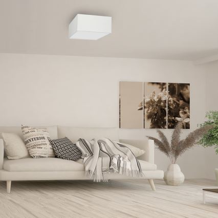 Iluminação de teto ALBION 2xE27/60W/230V