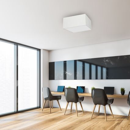 Iluminação de teto ALBION 3xE27/60W/230V