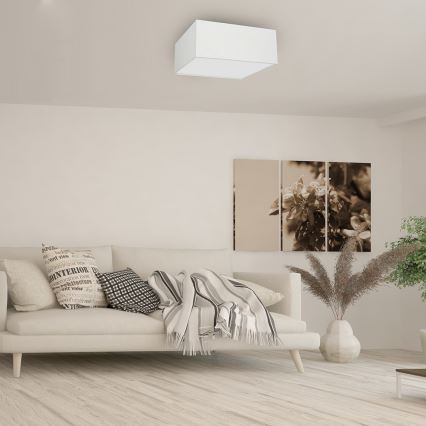 Iluminação de teto ALBION 3xE27/60W/230V