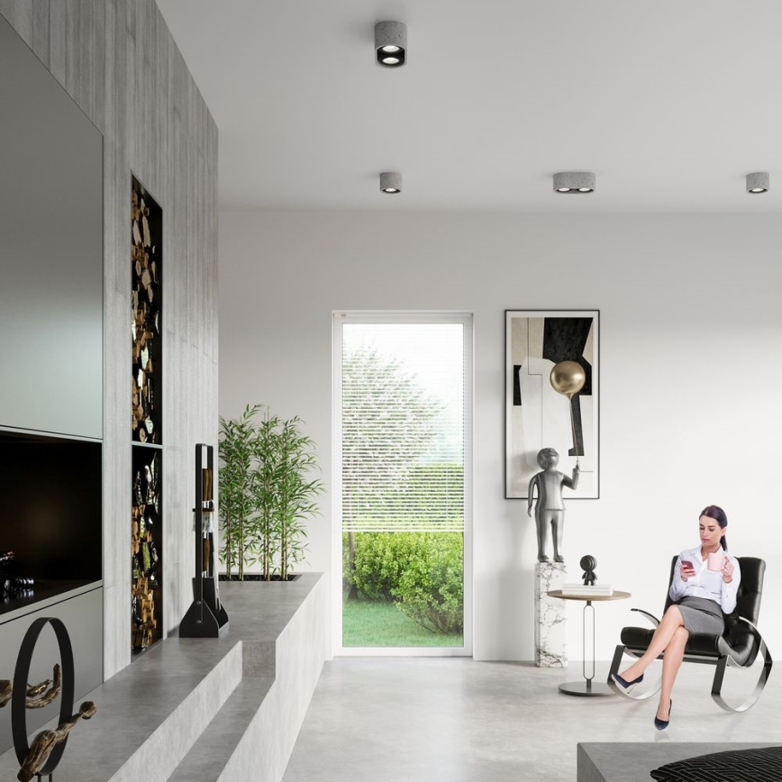 Iluminação de teto BASIC AR111 2xGU10/40W/230V betão