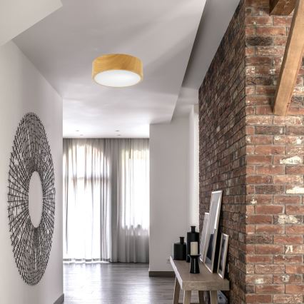 Iluminação de teto DANTE 1xE27/60W/230V d. 26 cm