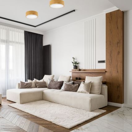 Iluminação de teto DANTE 1xE27/60W/230V d. 26 cm