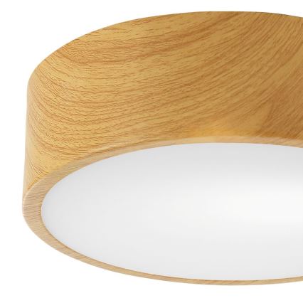 Iluminação de teto DANTE 1xE27/60W/230V d. 26 cm