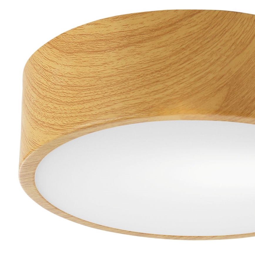 Iluminação de teto DANTE 1xE27/60W/230V d. 26 cm