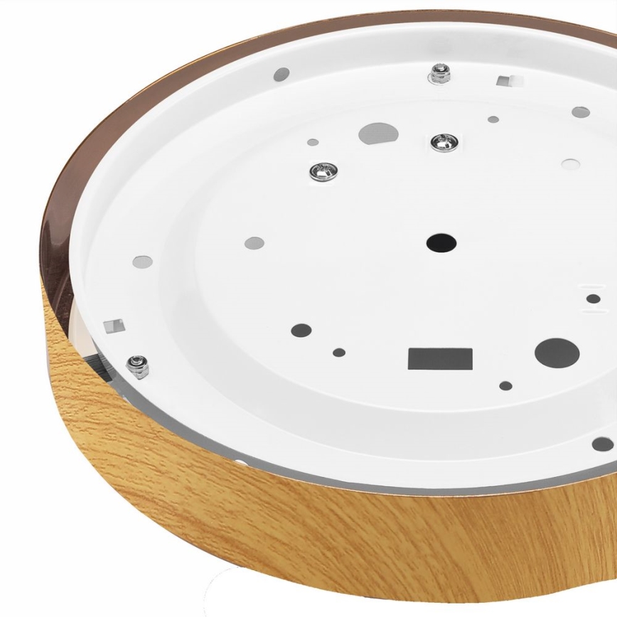 Iluminação de teto DANTE 1xE27/60W/230V d. 26 cm