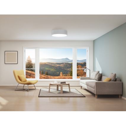 Iluminação de teto de casa de banho CLEO 2xE27/24W/230V d. 30 cm branca IP54