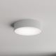Iluminação de teto de casa de banho CLEO 2xE27/24W/230V d. 30 cm cinzenta IP54