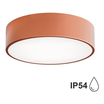 Iluminação de teto de casa de banho CLEO 2xE27/24W/230V d. 30 cm cobre IP54