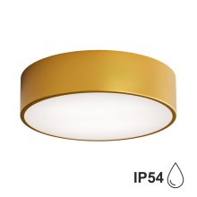 Iluminação de teto de casa de banho CLEO 2xE27/24W/230V d. 30 cm dourada IP54