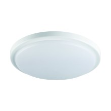 Iluminação de teto de casa de banho LED com sensor ORTE LED/18W/230V IP54