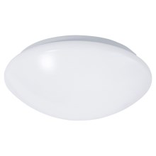 Iluminação de teto de casa de banho LED com sensor REVA LED/12W/230V IP44