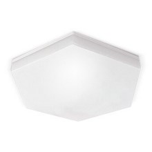 Iluminação de teto de casa de banho LED HEXAN LED/24W/230V IP54