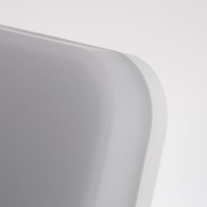 Iluminação de teto de casa de banho LED LED/24W/230V IP54