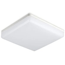 Iluminação de teto de casa de banho LED SAMSUNG CHIP LED/15W/230V 6500K IP44
