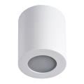 Iluminação de teto de casa de banho SANI 1xGU10/10W/230V IP44 branco