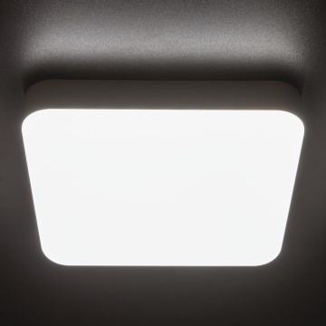 Iluminação de teto de trabalho LED IPER LED/19W/230V IK10 IP65 angular branco