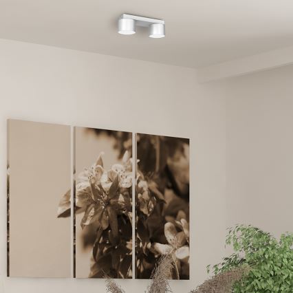Iluminação de teto DIXIE 2xGX53/11W/230V branca