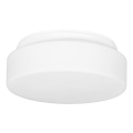 Iluminação de teto exterior HECTOR 1xE27/60W/230V diâmetro 25 cm IP44 opaco branco