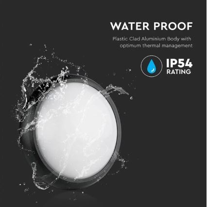 Iluminação de teto exterior LED LED/12W/230V IP54