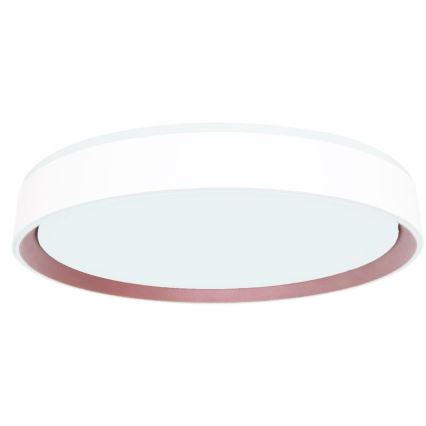 Iluminação de teto LED com regulação com controlo por voz OPAL LED/48W/230V 2700-6500K branco + comando
