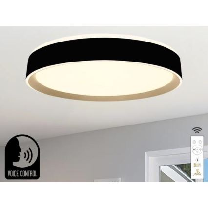 Iluminação de teto LED com regulação com controlo por voz OPAL LED/48W/230V 2700-6500K preto + comando