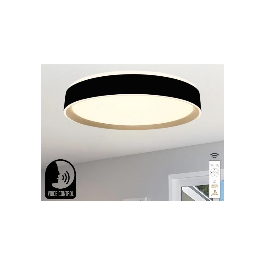Iluminação de teto LED com regulação com controlo por voz OPAL LED/48W/230V 2700-6500K preto + comando