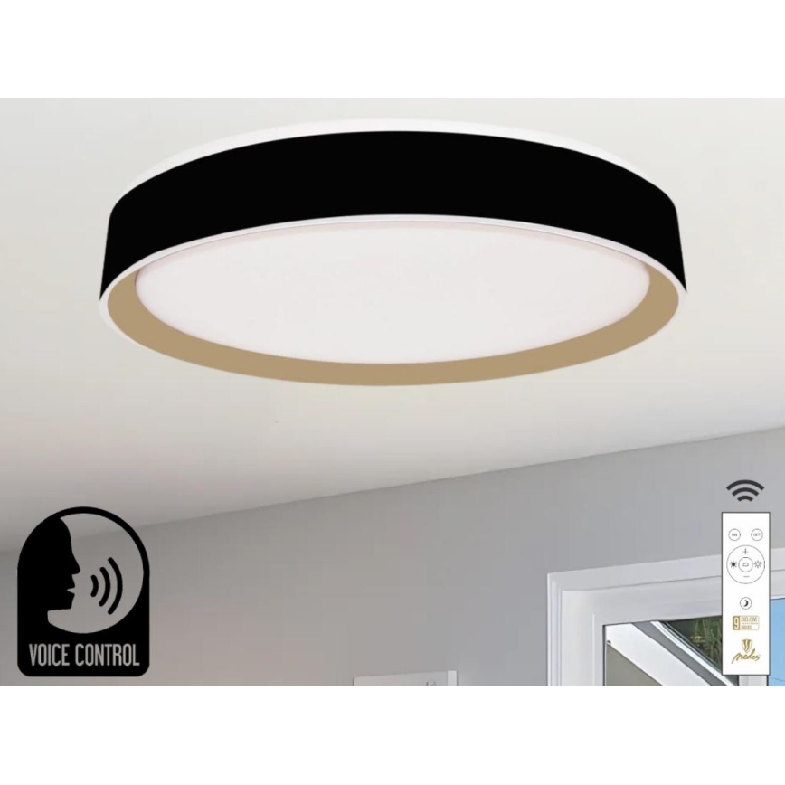 Iluminação de teto LED com regulação com controlo por voz OPAL LED/48W/230V 2700-6500K preto + comando