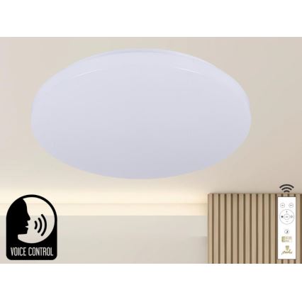Iluminação de teto LED com regulação com controlo por voz OPAL LED/48W/230V 2700-6500K branco + comando