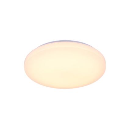 Iluminação de teto LED com regulação com controlo por voz OPAL LED/48W/230V 2700-6500K branco + comando