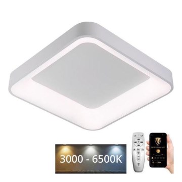 Iluminação de teto LED com regulação LED/45W/230V 3000-6500K branco + comando