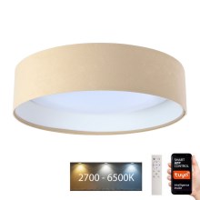 Iluminação de teto LED com regulação SMART GALAXY LED/24W/230V d. 45 cm 2700-6500K Wi-Fi Tuya bege/branco + controlo remoto