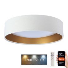 Iluminação de teto LED com regulação SMART GALAXY LED/24W/230V d. 45 cm 2700-6500K Wi-Fi Tuya branco/dourado + controlo remoto