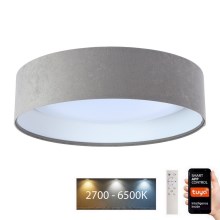 Iluminação de teto LED com regulação SMART GALAXY LED/24W/230V d. 45 cm 2700-6500K Wi-Fi Tuya cinzento/branco + controlo remoto