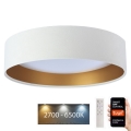 Iluminação de teto LED com regulação SMART GALAXY LED/36W/230V d. 55 cm 2700-6500K Wi-Fi Tuya branco/dourado + controlo remoto